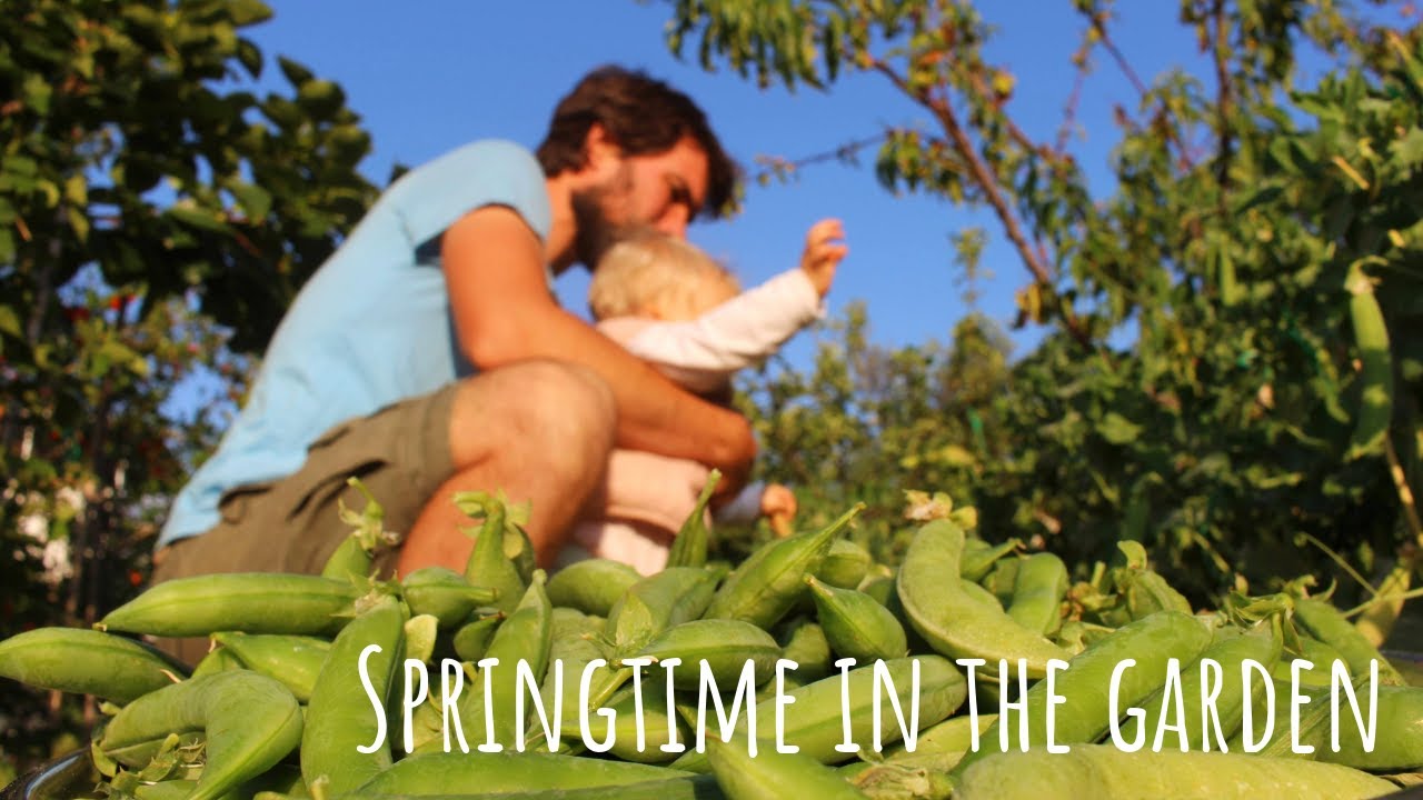 Simple Family Life on a Small Croatian Island | #7 April