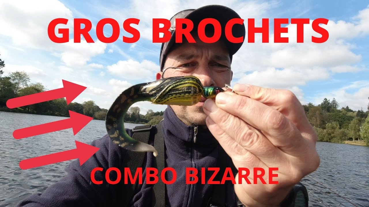 GROS BROCHETS AVEC UN COMBO BIZARRE et je me prend dans les lignes des carpistes