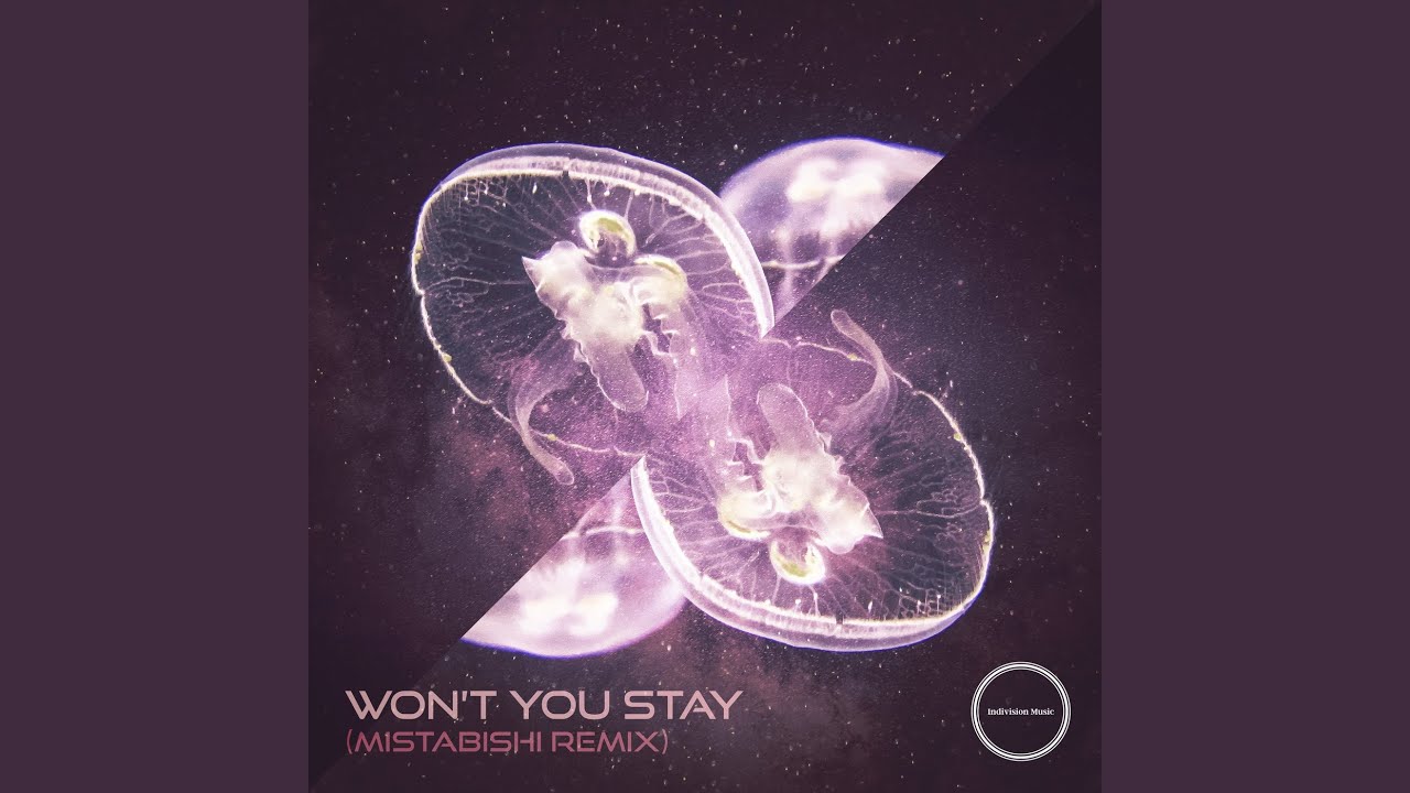 Won't You Stay (Mistabishi Remix)