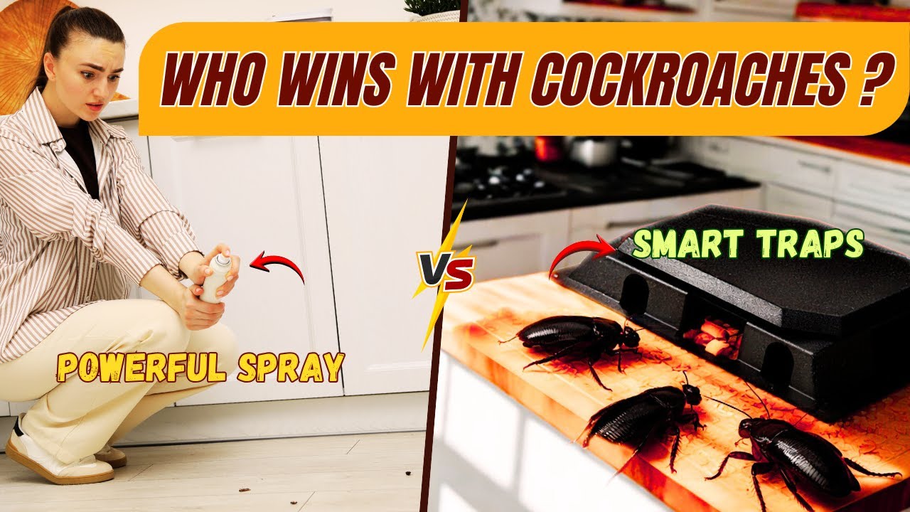 Kitchen Cockroach Spray vs Bait Traps &ndash; What&rsquo;s Safer and Smarter?
