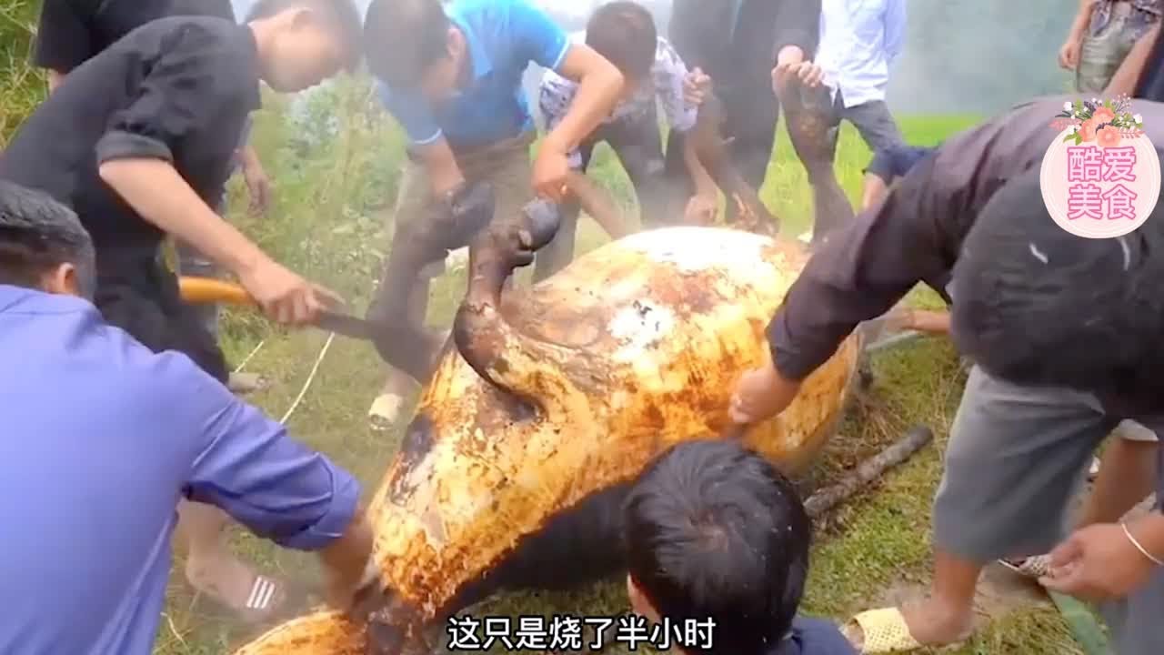 村里吃全牛宴，杀牛围满了人，田里烧上半小时，烤黑后一顿吃干净