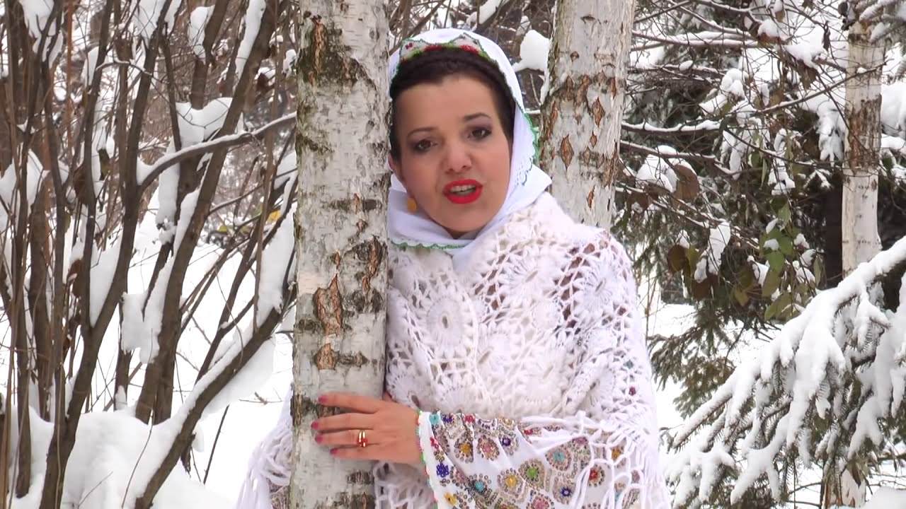 Irina Zoican - Timpul se duce, nu se intoarce (Official Video)