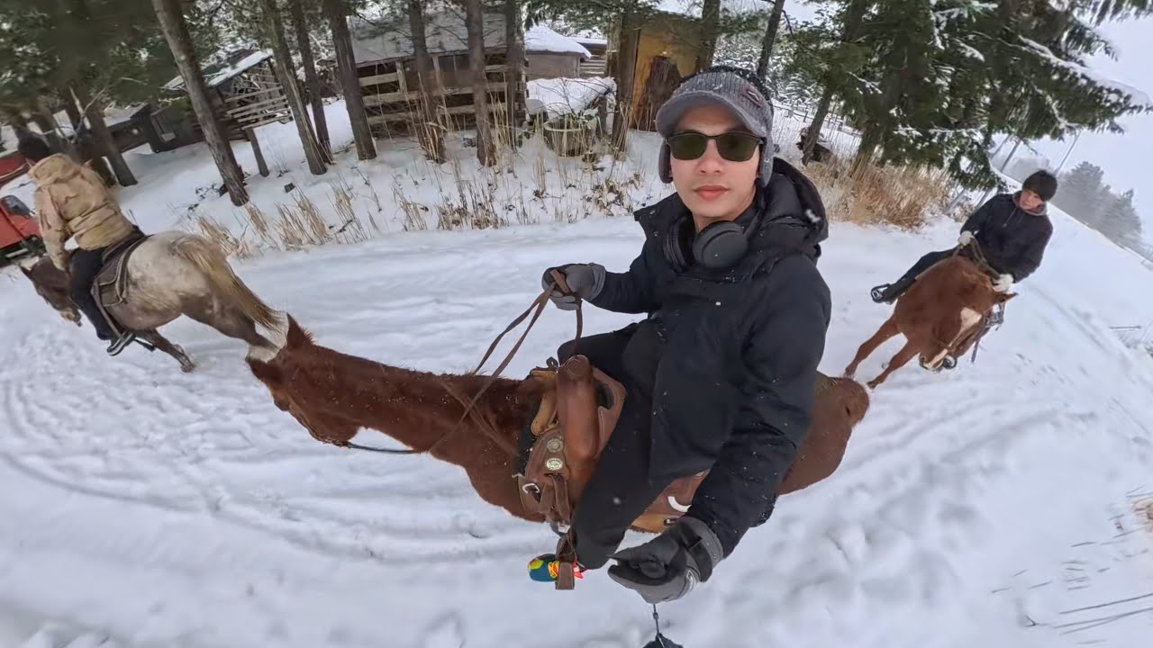 Asahikawa Zoo Penguin Walk - Clark Horse Back Riding