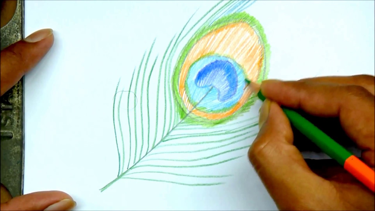 Drawing Time Lapse: Peacock Feather - YouTube,