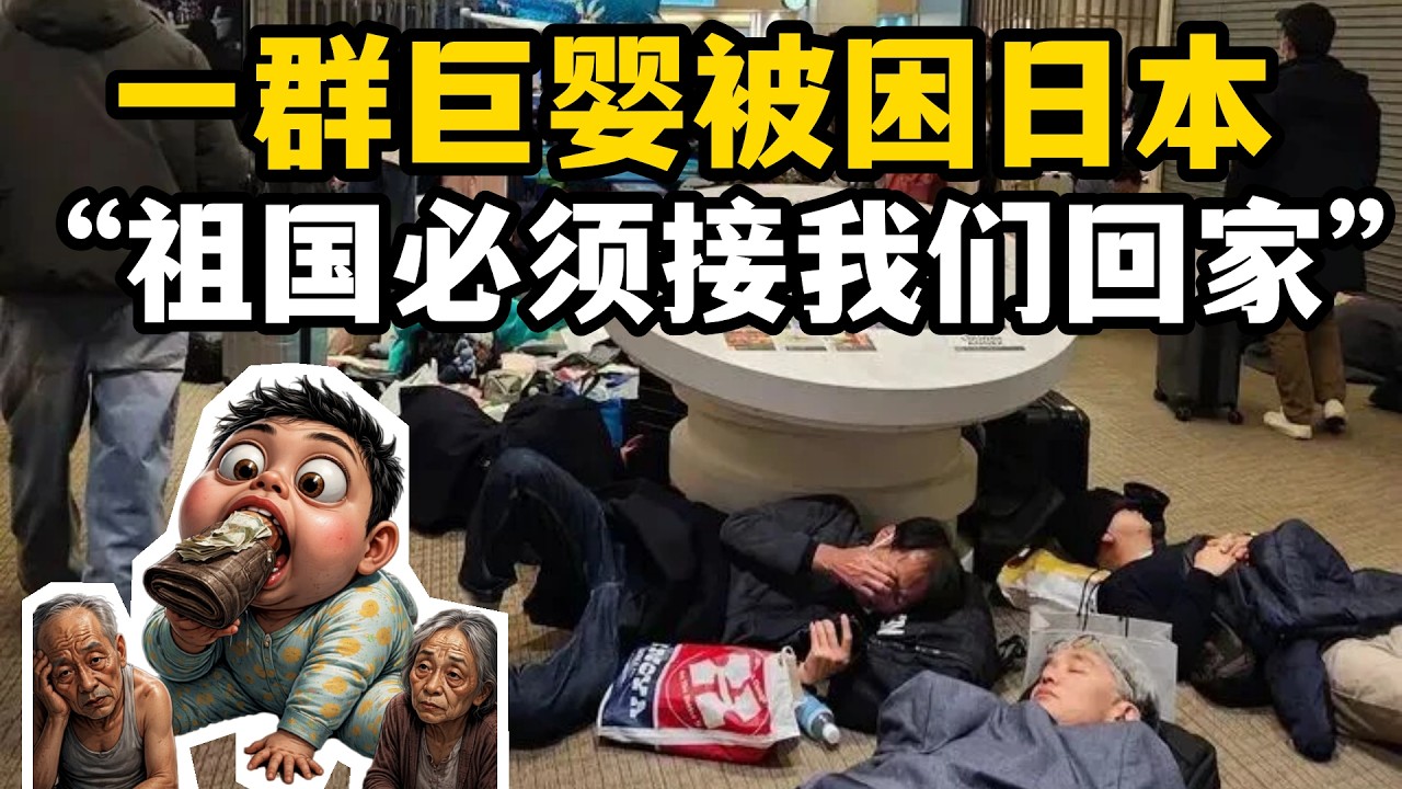 不聽警告執意去日本，遇天災又要求祖國出面兜底，你們憑啥啊？