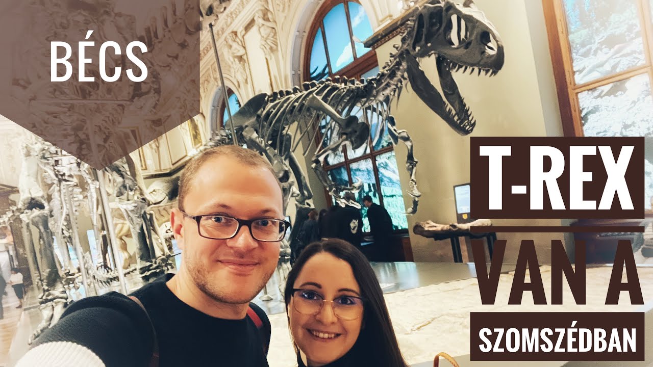 BÉCS: Természettudományi múzeum és a Stephansdom #trex #stephansdom #venus #bécs