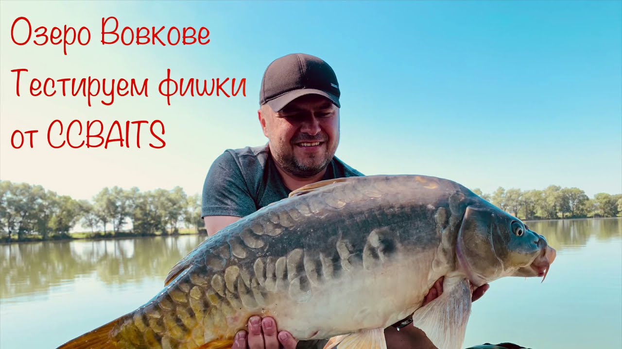 Ловим карпа в жару на флэт.