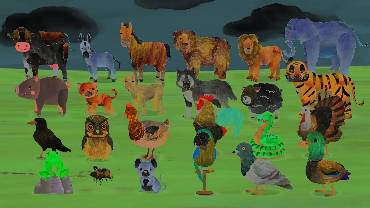 Hooray For Animal Sounds! Fun effects (Sponsored By: Preview 2 Effects)