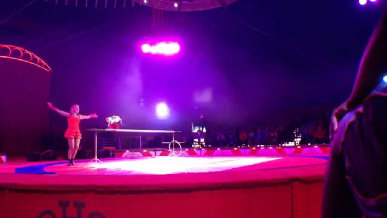 Circus at the Big E 2014