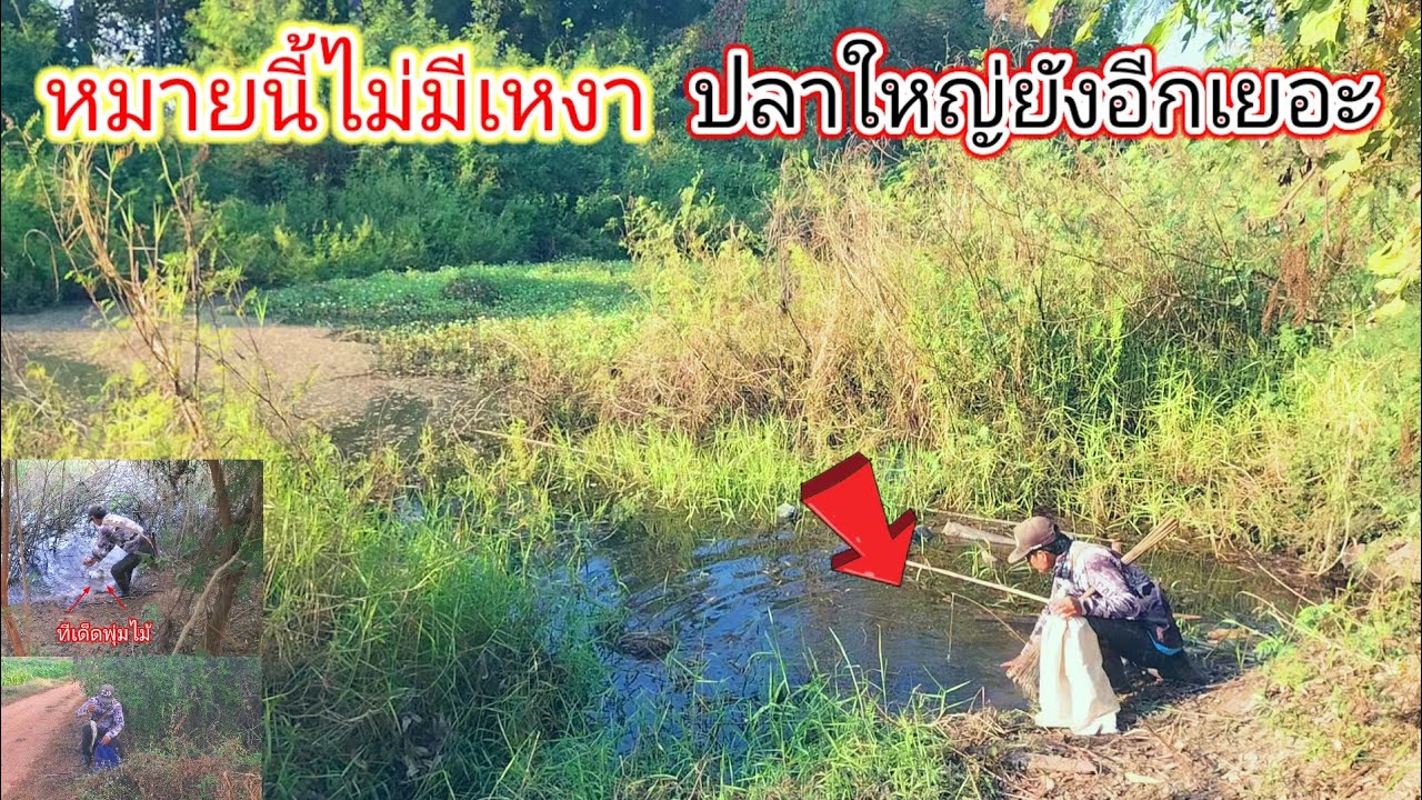 กินแบบนี้ไม่มีเหงา!!หาหมายดักหนูไม่ได้ก็กับมาปักเบ็ดซ้ำหมายคลองหน้าบ้านได้ลุ้นกันอีกแล้ว