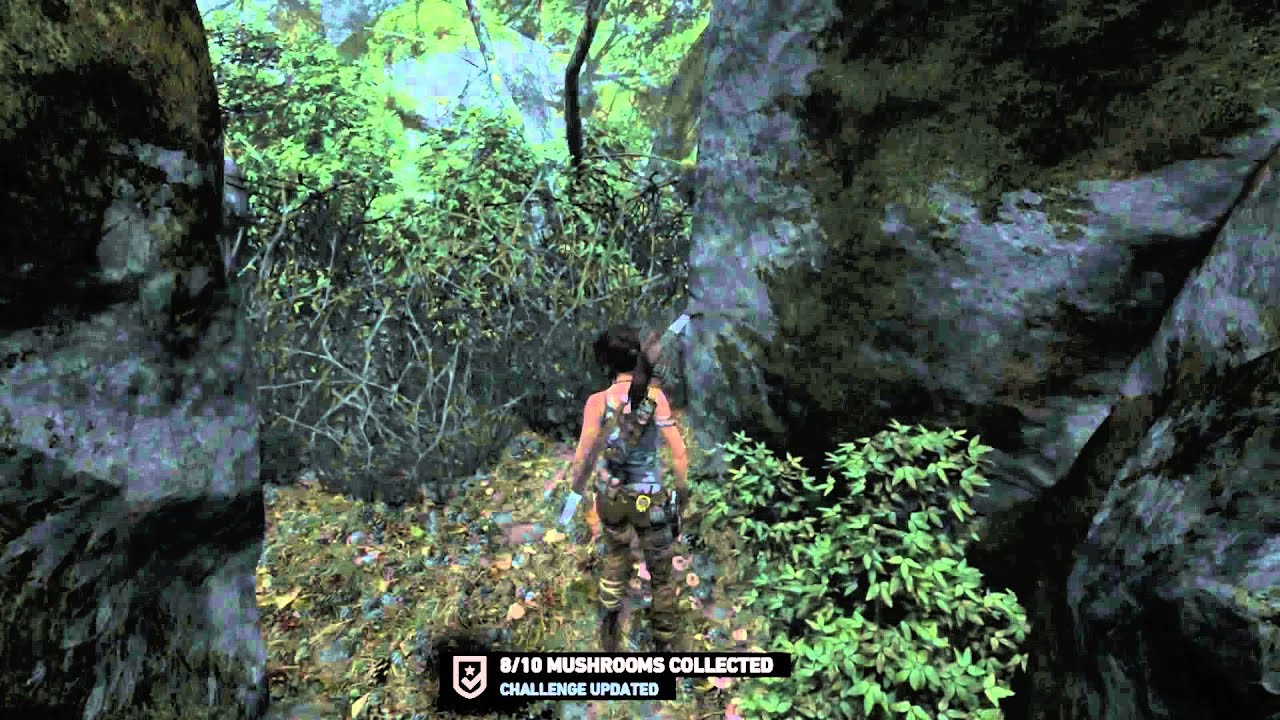 Summit Forest - Red Cap Roundup + Collectibles (documents, relics, gps caches, map) - Tomb Raider