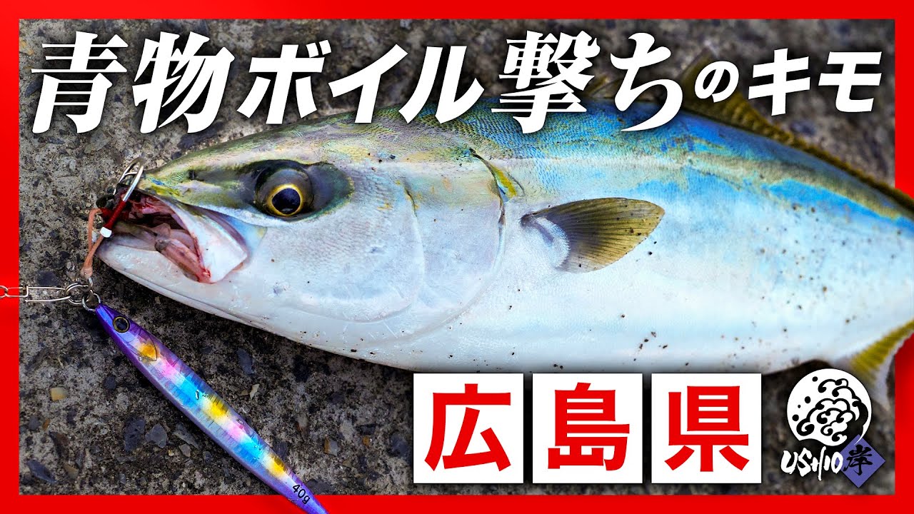 【ショアジギング】広島青物釣り “単発ボイルをジグで狙い撃つ”｜ 去川直稔