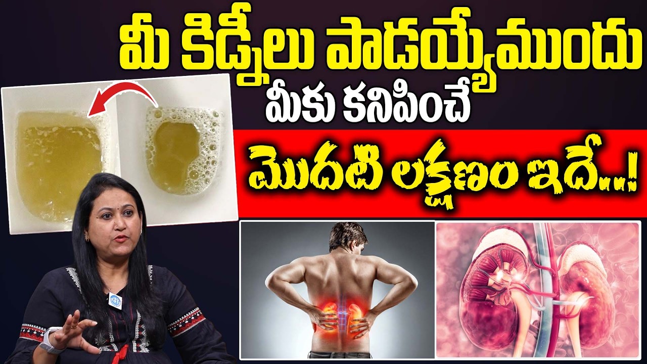 మీ కిడ్నీలు ప్రమాదంలో ఉంటే కనిపించే లక్షణాలు | Kidney Disease Symptoms In Telugu | Dr jyothsna