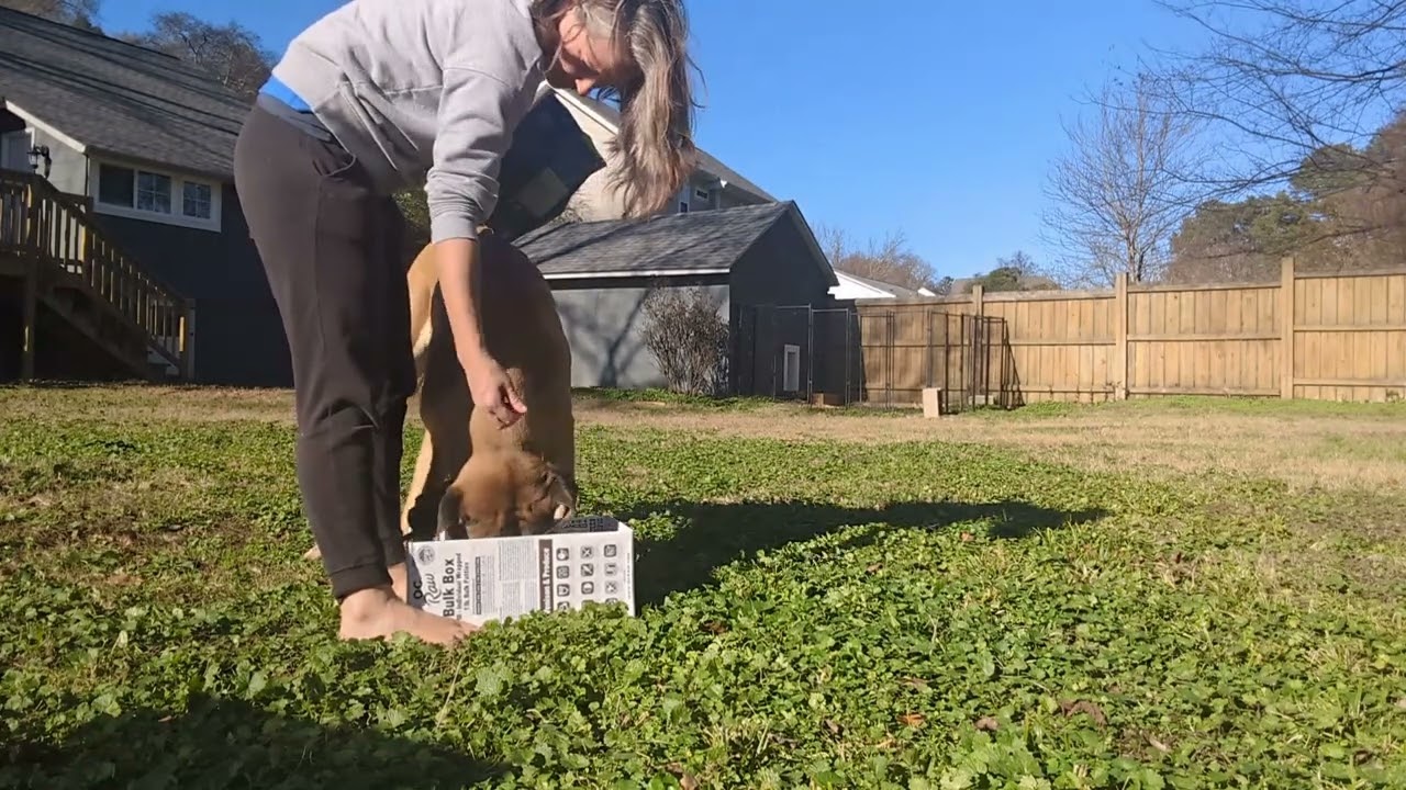 Dopamine Box