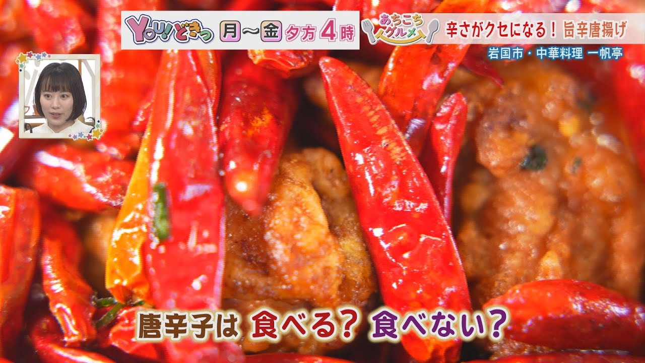 【山口】スパイシーチキン　岩国　中華料理一帆亭