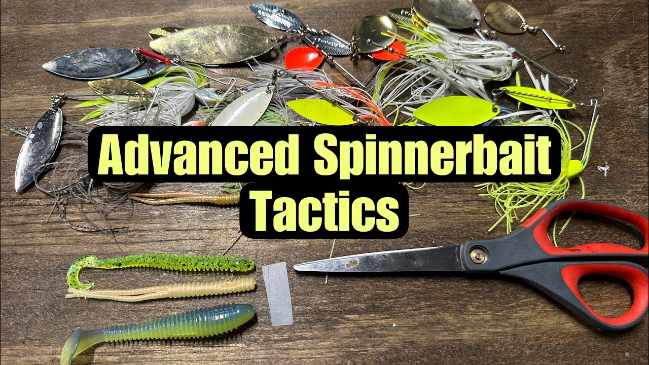 Advanced Spinnerbait Fishing Tactics And Techniques