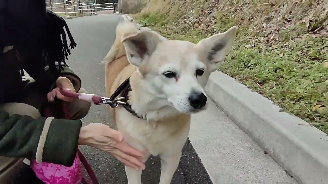 20260209am こんなに強くていいんかい？！