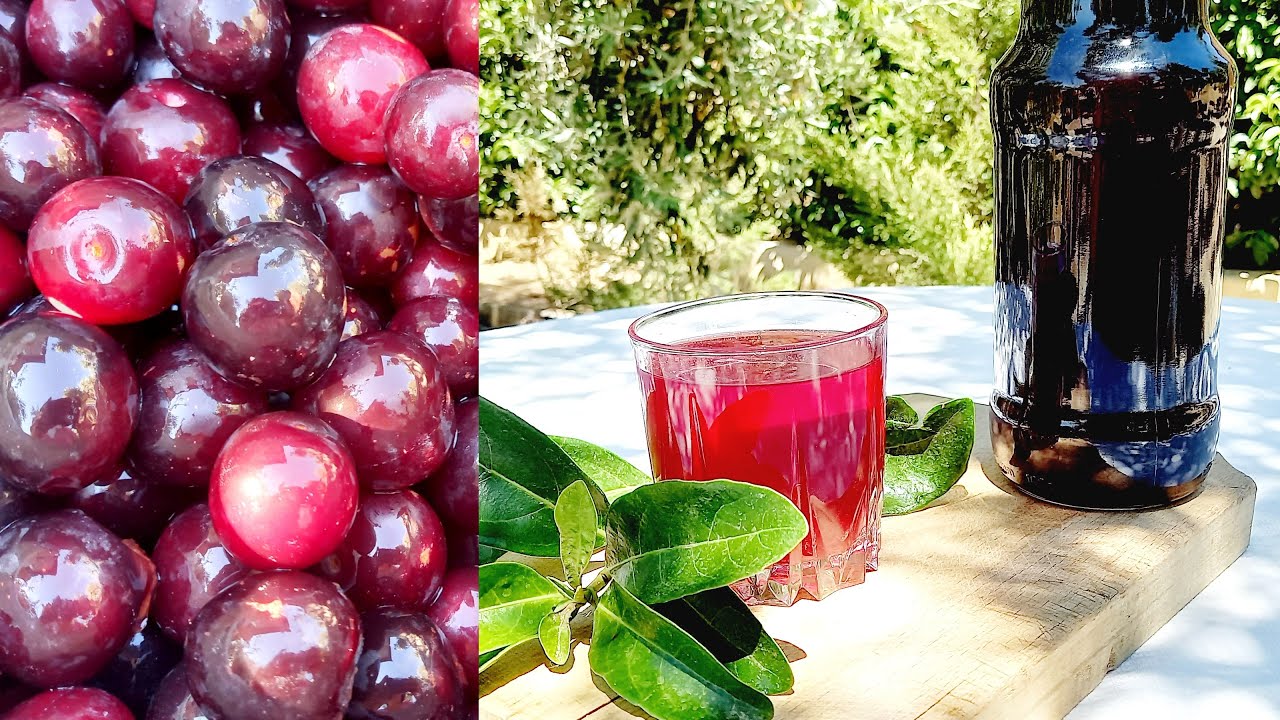 !!! 2 kilo erikle 21 litre organik konsantre erik suyu tarifi  . Konsantre Erik Suyu nasıl yapılır
