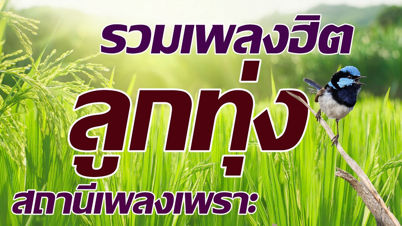 รวมเพลงลูกทุ่งฮิตสถานีเพลงฮิต