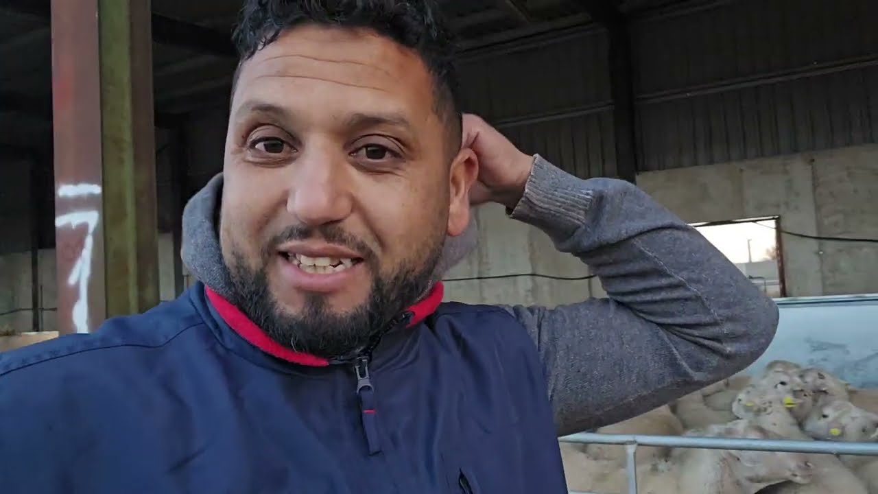 مارأيكم الإخوان شوفوا رايب ديال المغرب الحولي الصردي في اسبانيا 