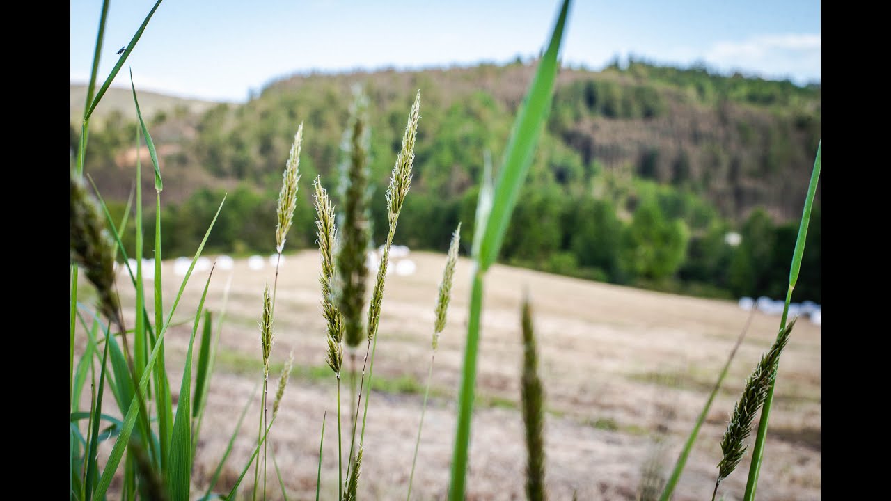 Parcelas agr&iacute;colas Los Cerezos