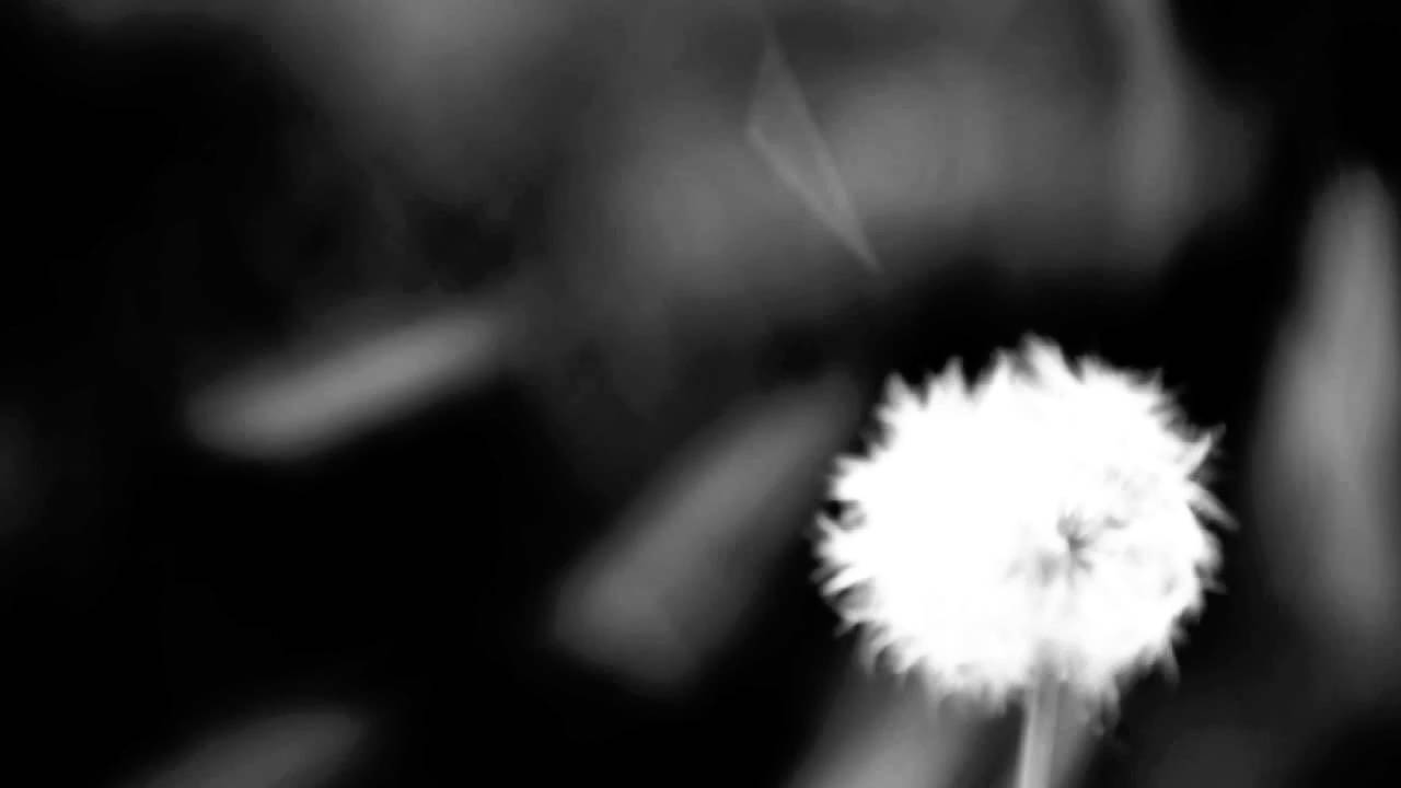 Mono - Are you there ?