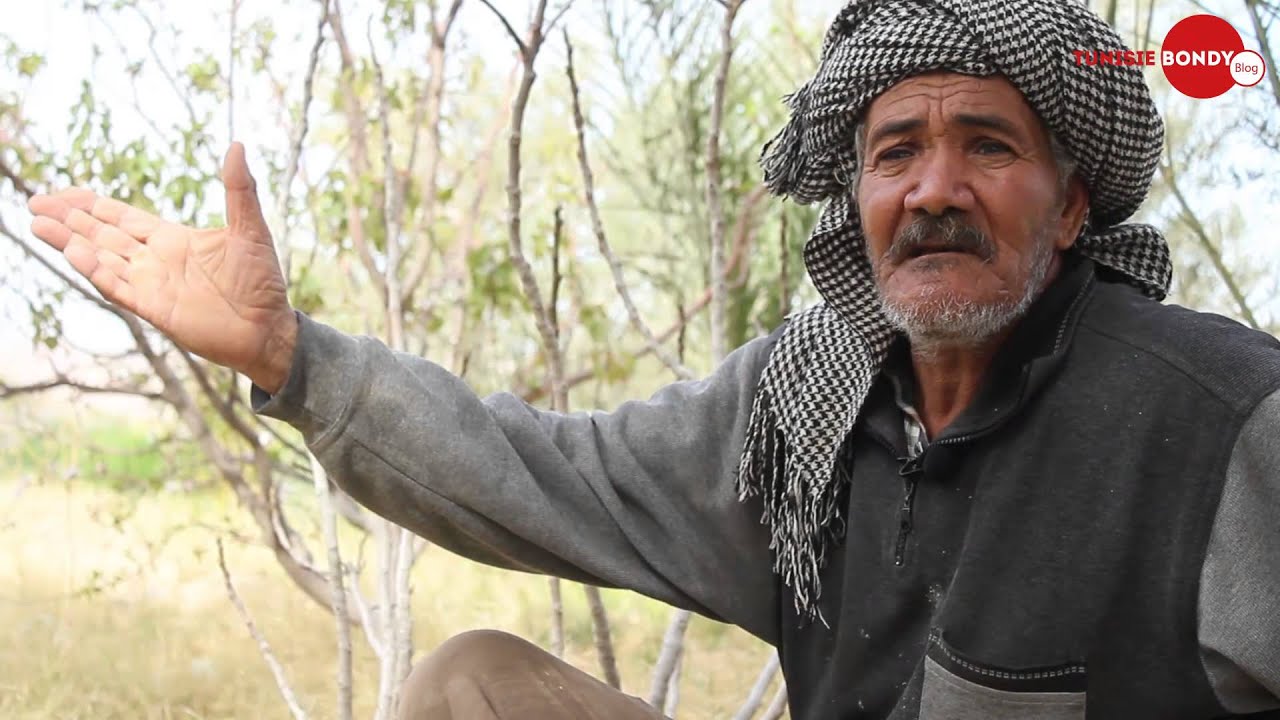 Gafsa: La zone agricole menacée par la pollution.
