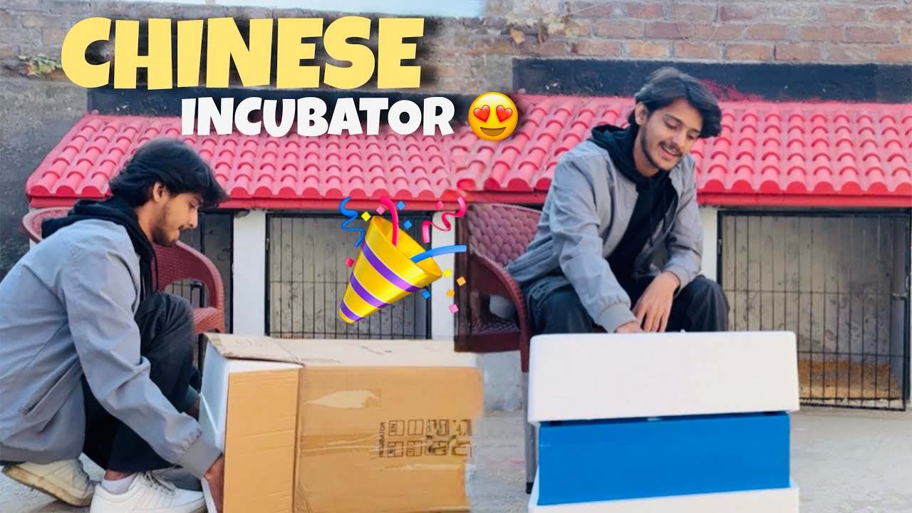 Chinese Incubator Agya😍 Aur Bohat Sary Eggs B Rakh Diye Isme 🥳  128 EGGS INCUBATOR😮