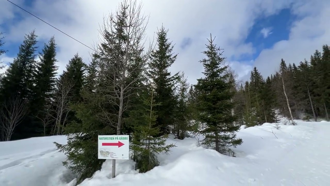 Går på ski mot Stenfjellhytta 