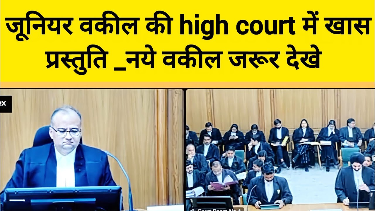 Специальное выступление молодого юриста в Высоком суде — обязательно к просмотру для начинающих ю...