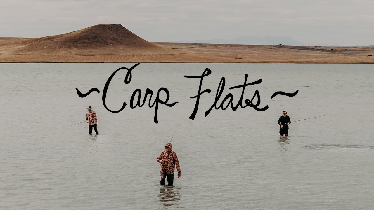 CARP FLATS | Fly Fishing For Carp On The Front Range Of Montana