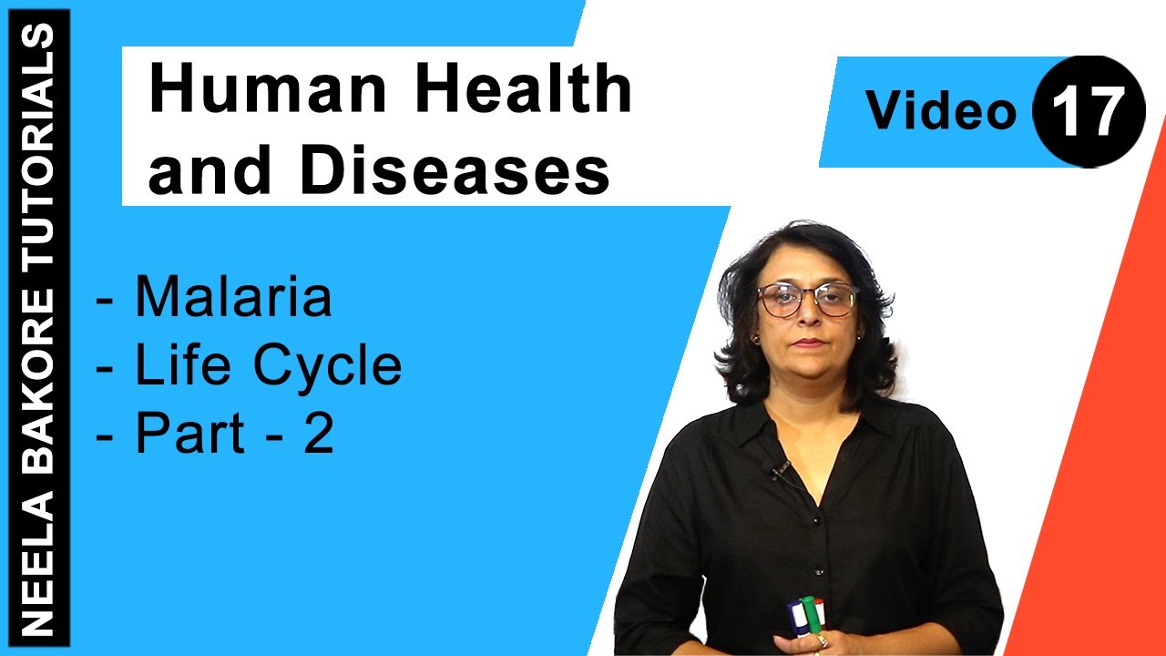 Human Health and Diseases - Malaria - Life Cycle - Part - 2