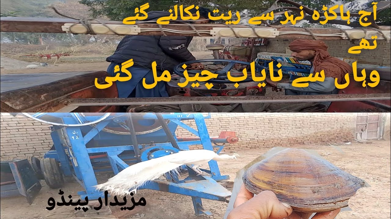 Aaj hum ny hakra sy nayab cheez Nikal lee  dekhyn 