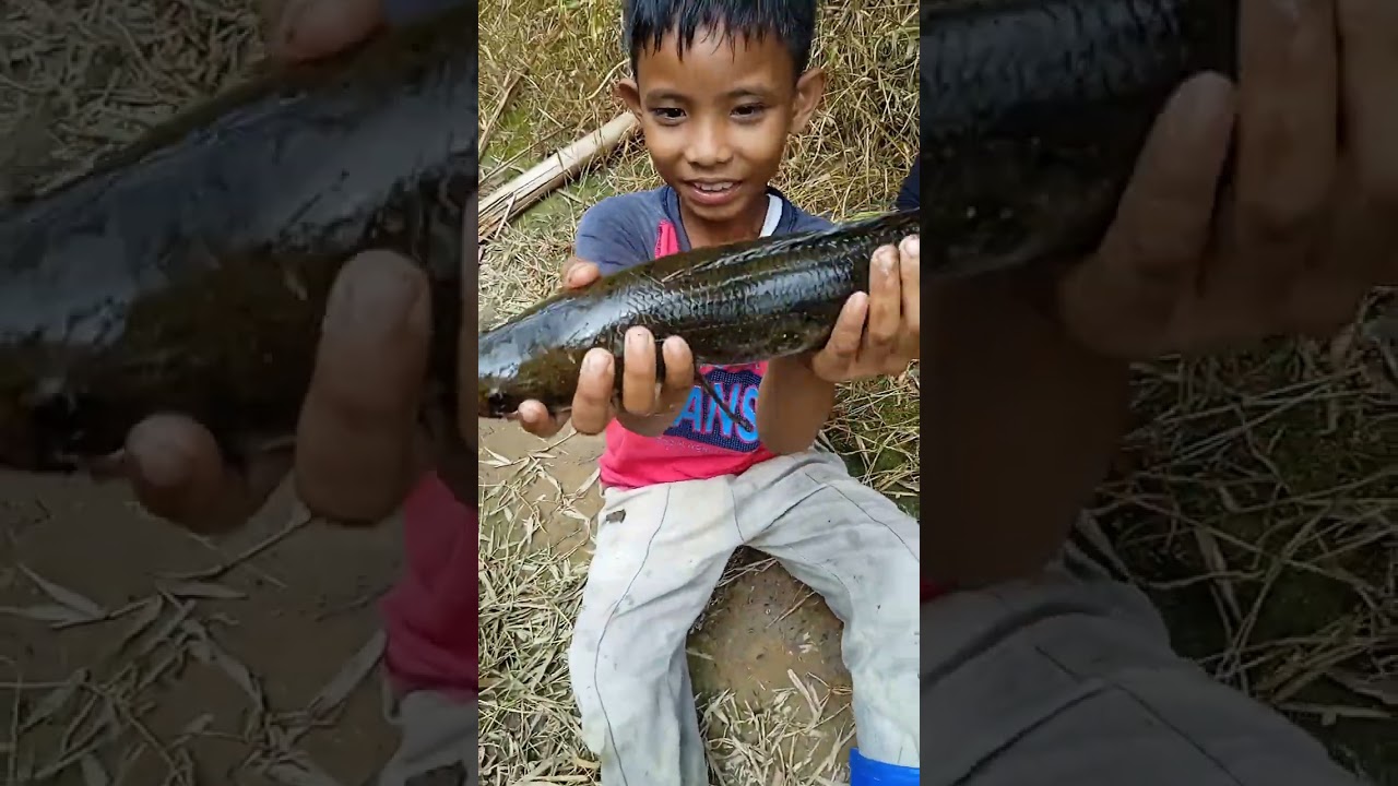 Kami mancing hari ini wooii dapat banyak loohh..