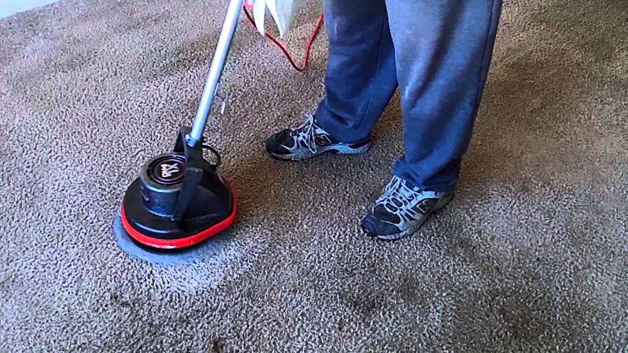 Cleaning Badly Stained Carpet with Oreck Orbiter, Ridgid Wet/Dry Vac, and Grandi Groom Carpet Rake