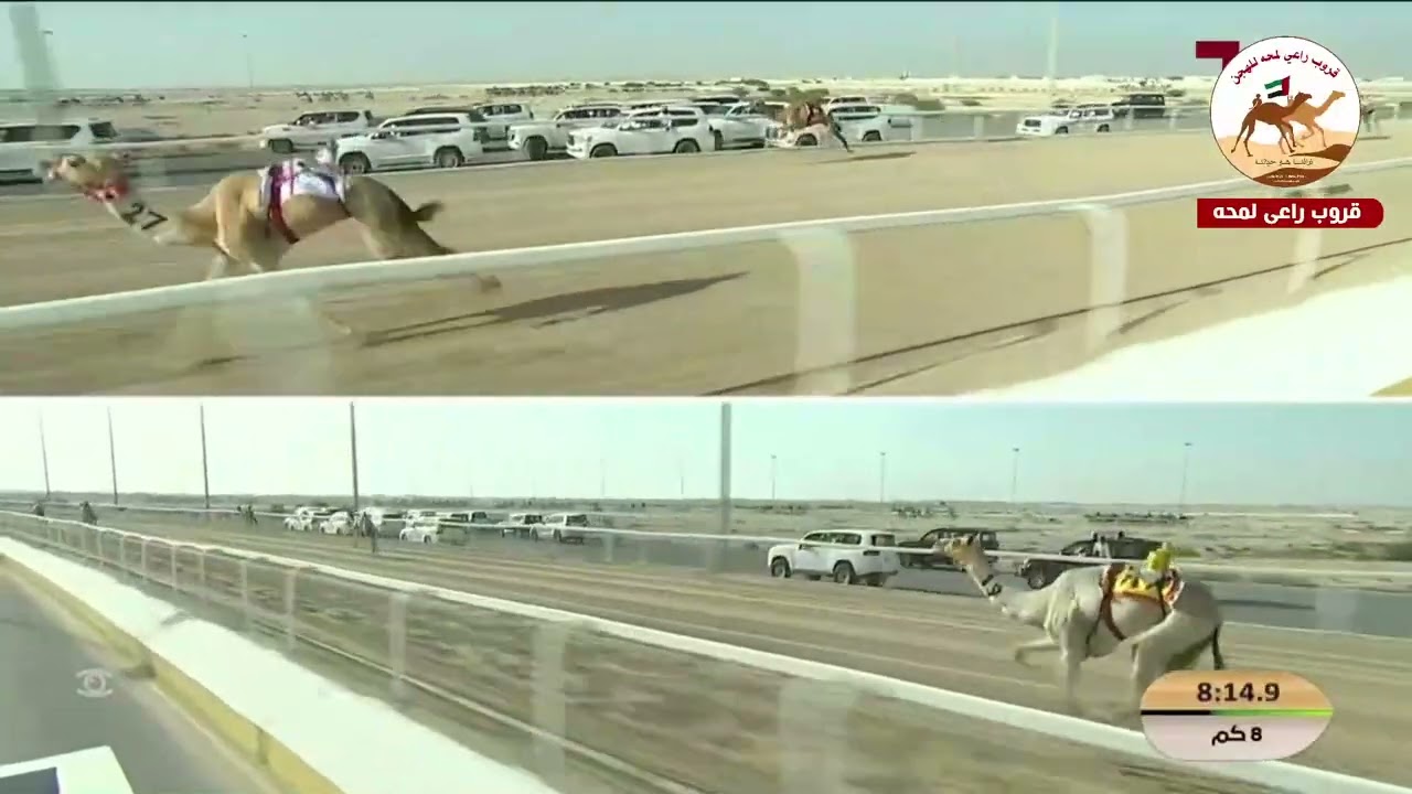 ش6( سيف حول المفتوح )نثريه لـ ناصر عبدالله احمد المسند 11:54:03(*مهرجان الامير الوالد 2026* )