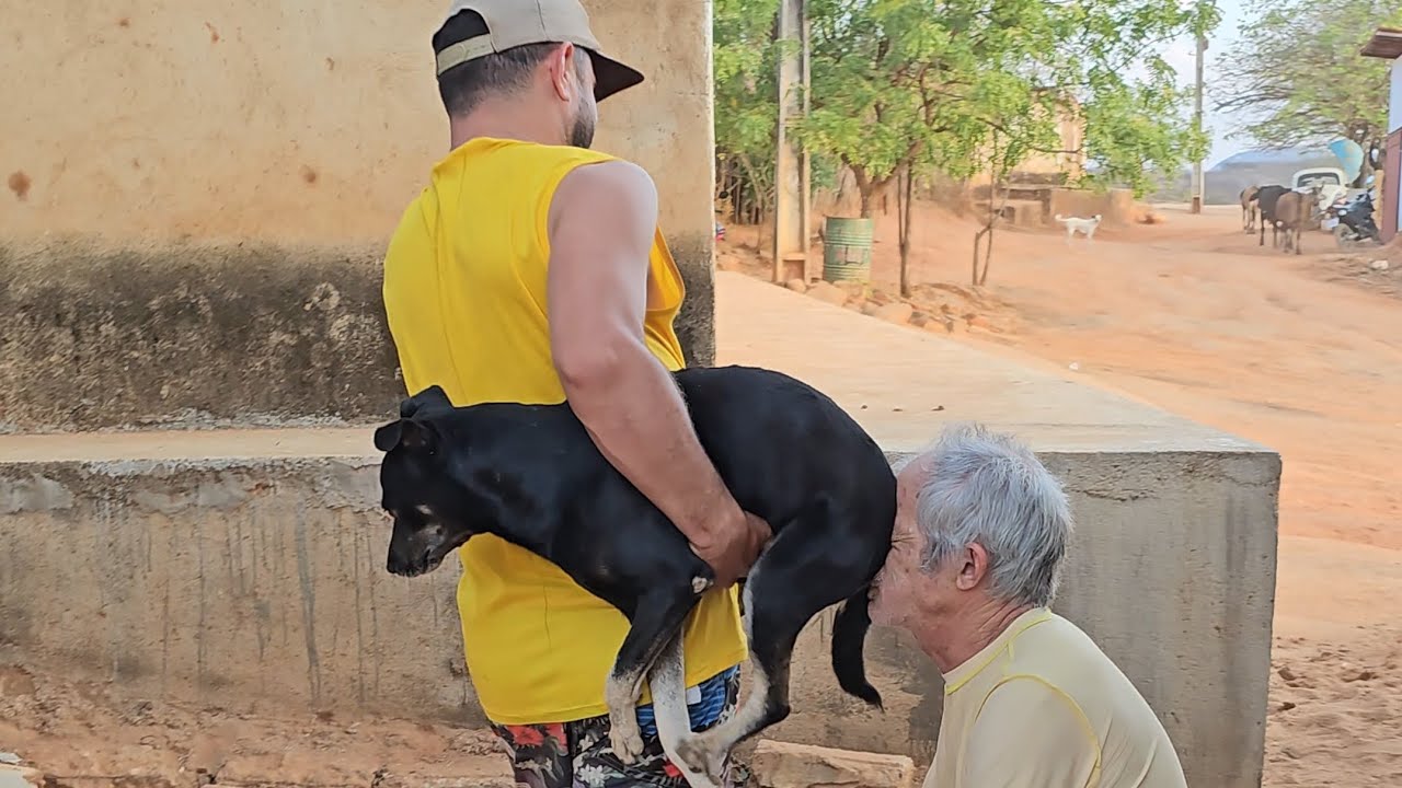 Seu antonio nao queria passar por isso  #comedia#viralvideo  #humor #viral 