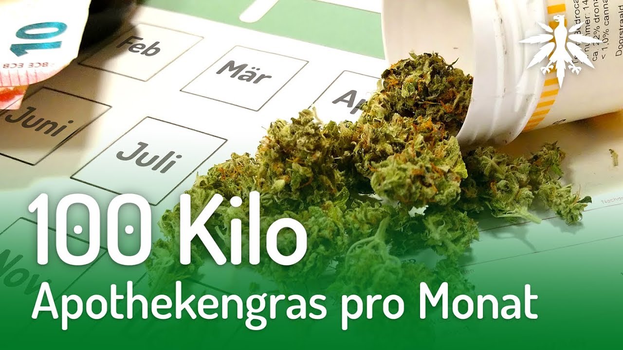 100 Kilo Apothekengras pro Monat | DHV-News #174