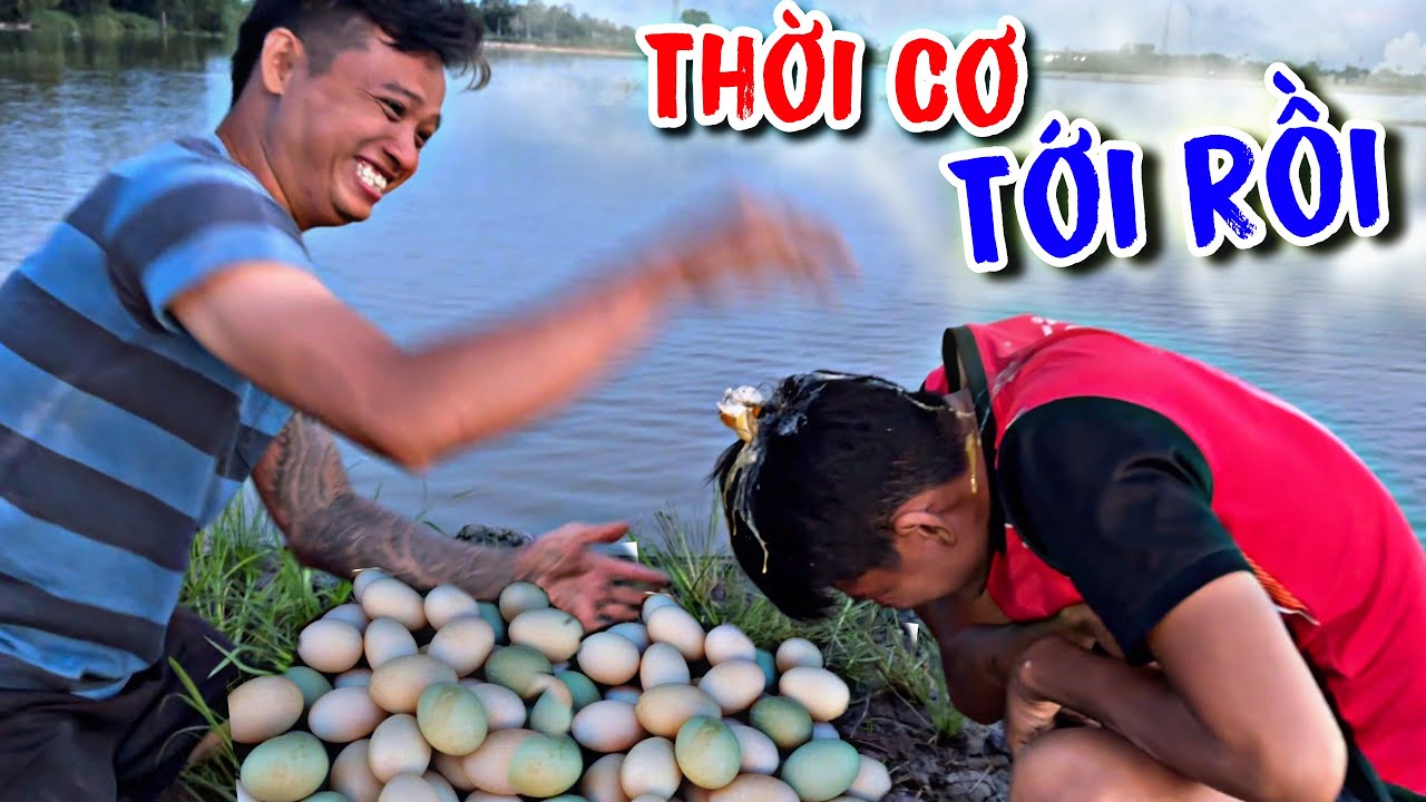 Ku Vàng Quyết Định Phục Th.ù Trò Chơi Nhìn Hình Đoán Chữ Và cái kết đắng | Thánh Xàm Vlog