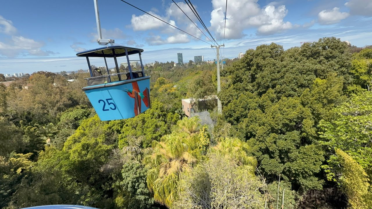 Skyfari Aerial Tram San Diego Zoo April 2025