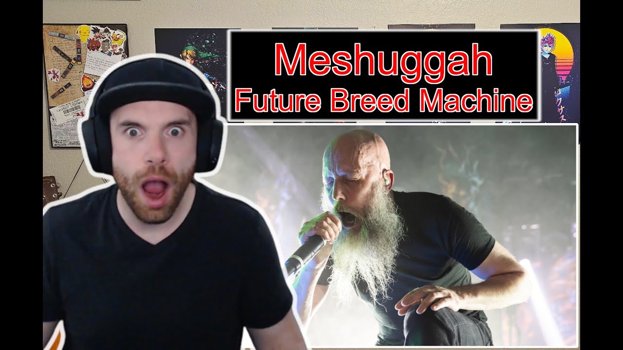 Meshuggah | Future Breed Machine (First Time Hearing) Summer Breeze Open Air 2024 Reaction