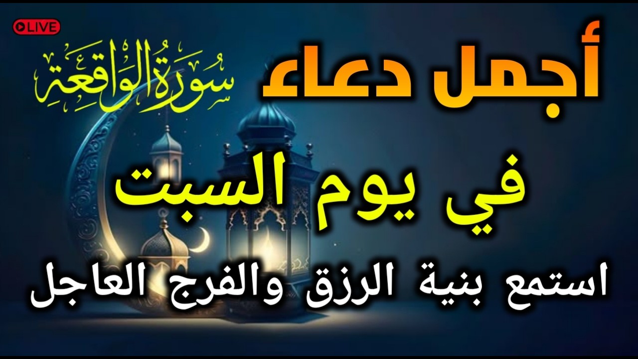 قراءة مؤثرة! دورة واحدة قد تجلب لك الثروة