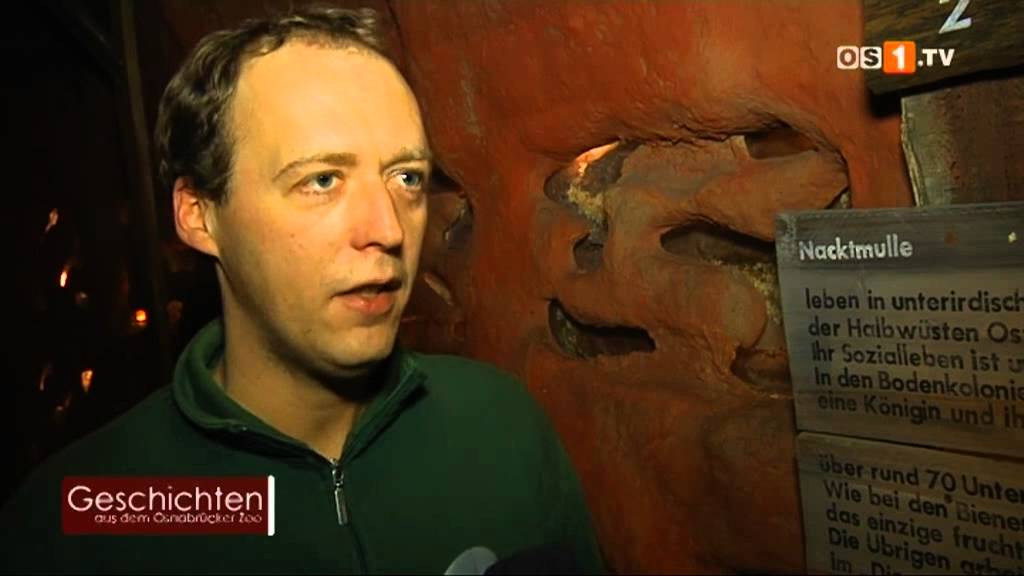 Geschichten aus dem Osnabr&uuml;cker Zoo - Der Nacktmull
