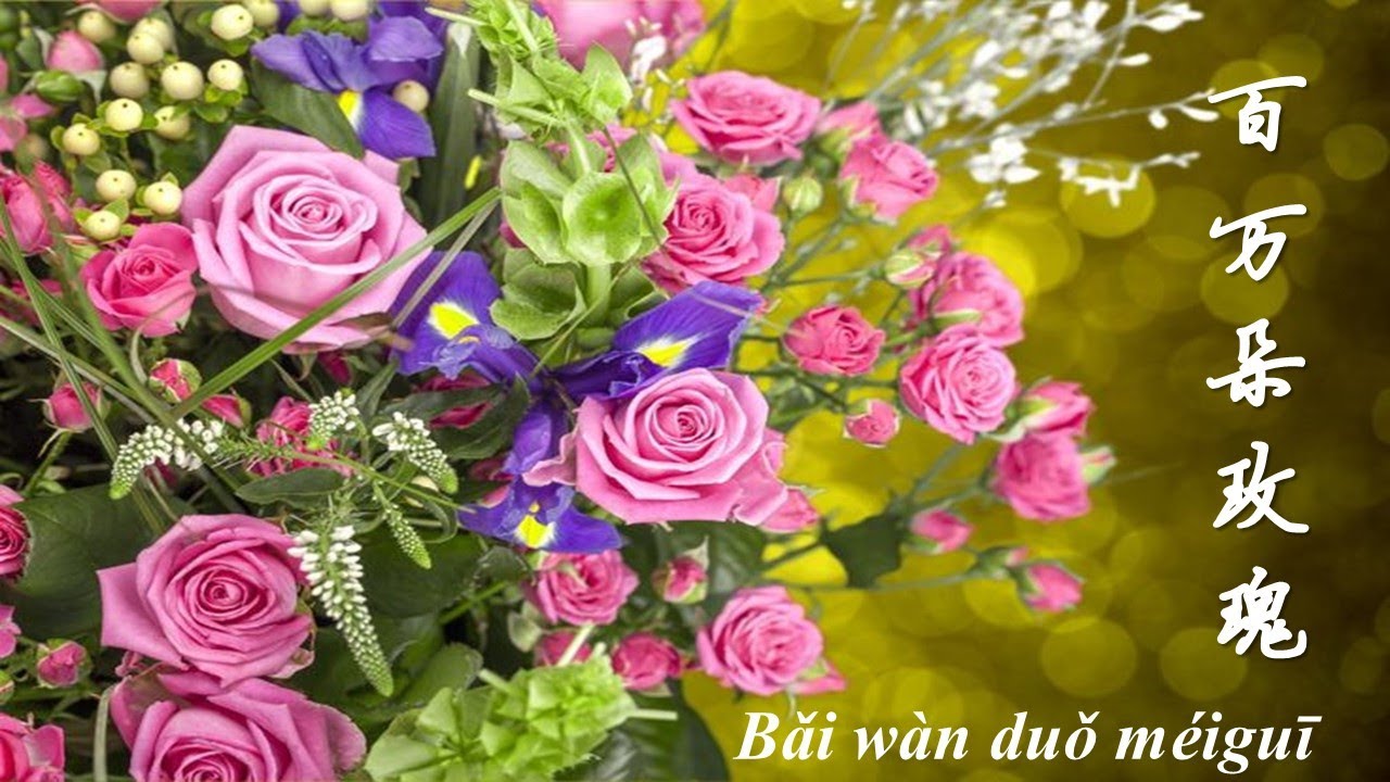 VUI HỌC TIẾNG TRUNG QUA BÀI HÁT 46. 百万朵玫瑰 - TRIỆU ĐÓA HỒNG