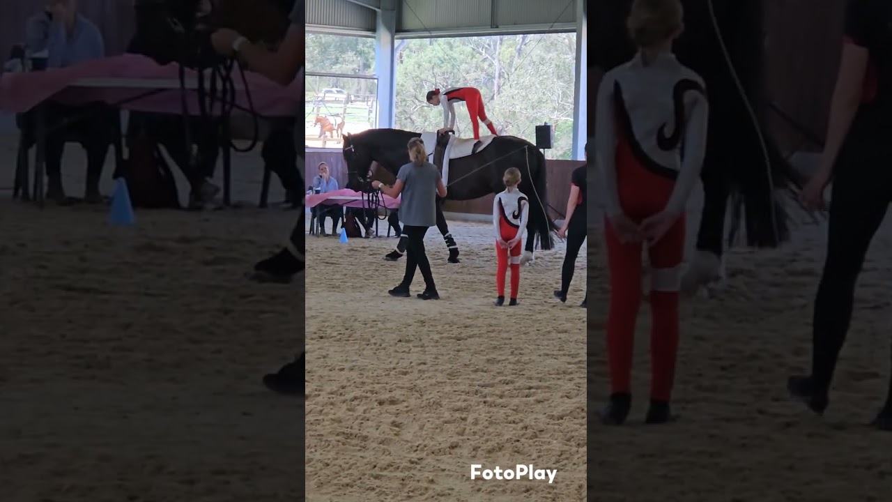 My 1st vaulting comp event. Squad compulsories.  Very happy. #horses #vaulting