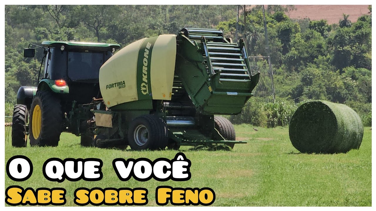 COMO É FEITO FENO PARA ALIMENTAÇÃO ANIMAL