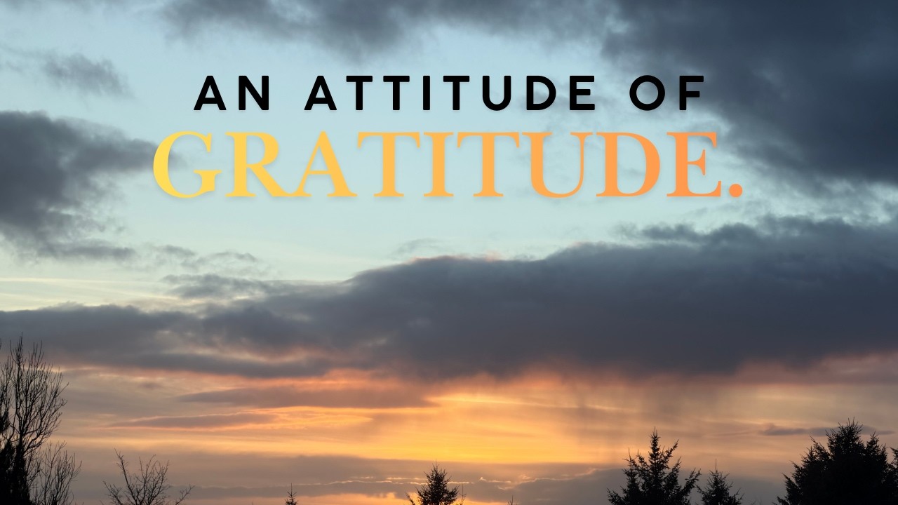 Vlog #7: An attitude of Gratitude