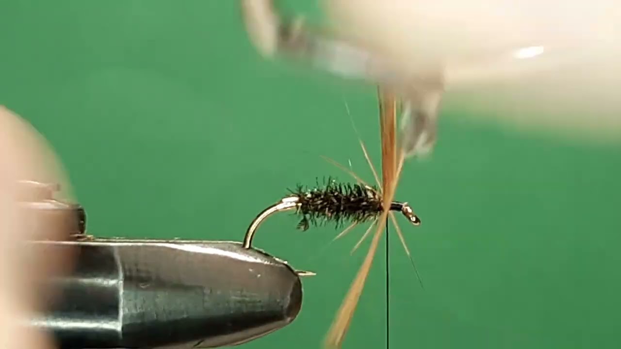 One Fly A Day - Coch - y - Bonddu