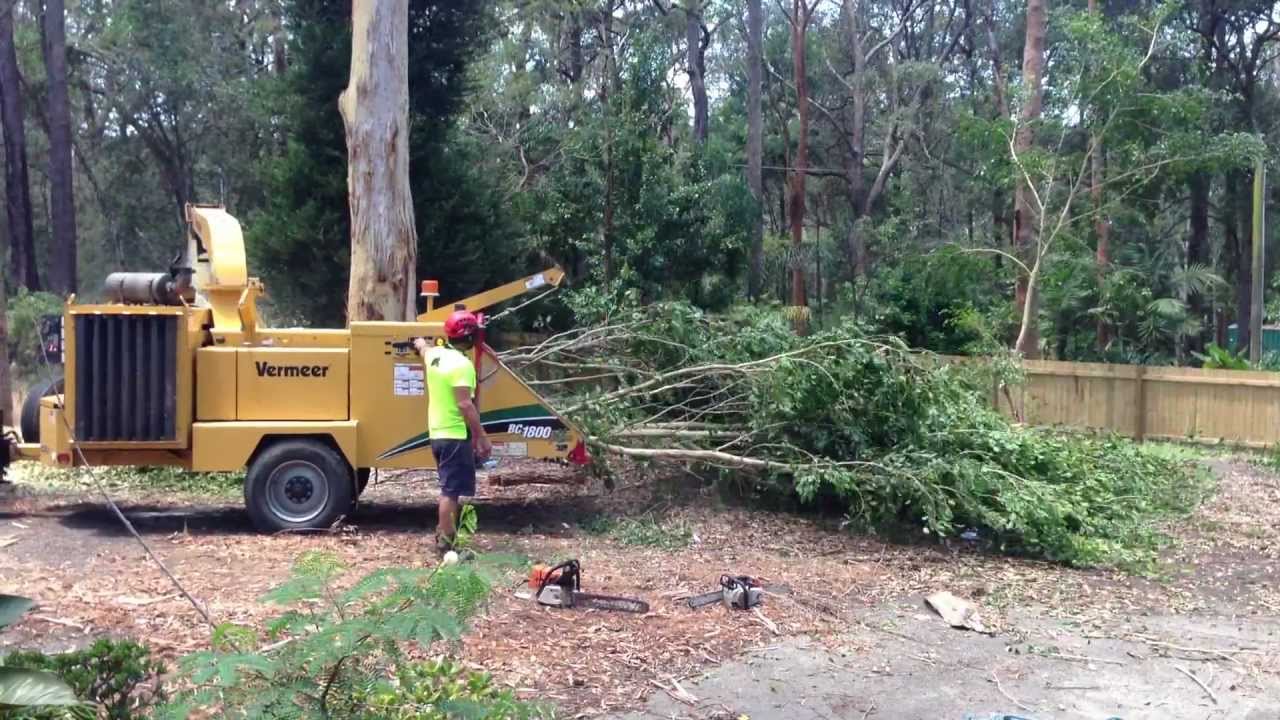 Clearview Tree Service Vermeer 1800xl