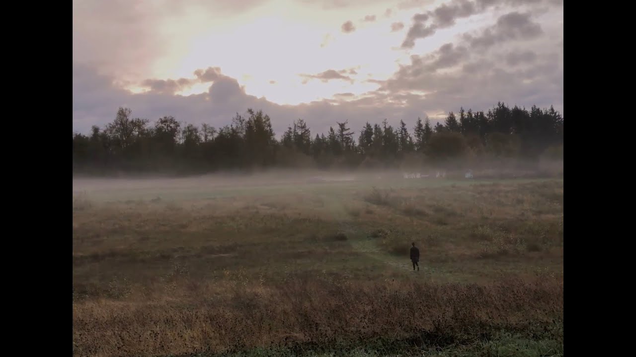 Lone Scholar in the Autumn Woods - Short Film